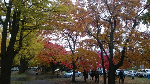 北海道大学キャンパス